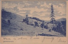 Pasture Land Springfield