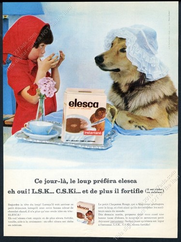 1967 german shepherd photo - 1967,