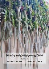 Monkey Tail Cactus Growing