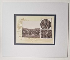 ORMISTON Views of Ambleside