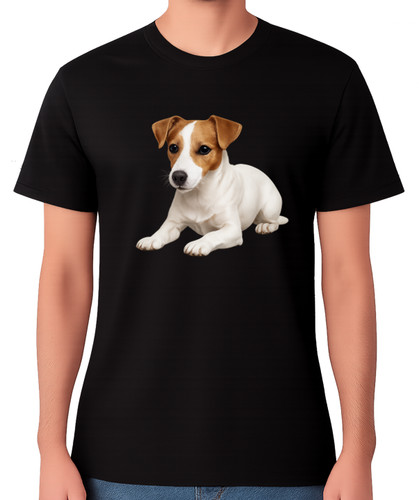 Jack russell terrier puppy - jack,