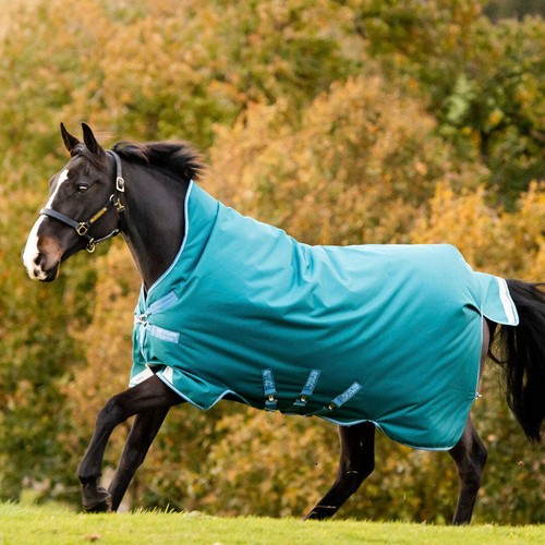 Horseware ireland amigo bravo - horseware,