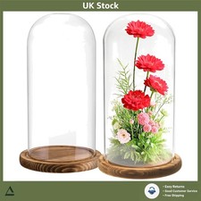 Elegant Clear Glass Cloche