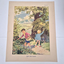 Vintage Poster Macmillan School Hips and Haws Flowers Trees Children