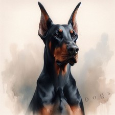 DOBERMAN PINSCHER Watercolour