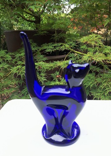 Large bristol blue - cat,