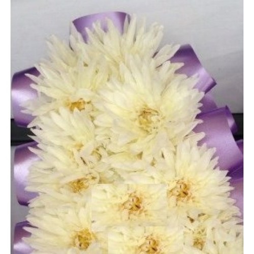 144 artificial cream - artificial,