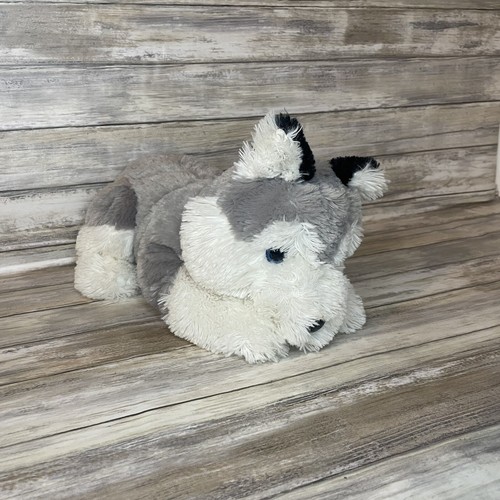 Siberian husky dog puppy - husky,