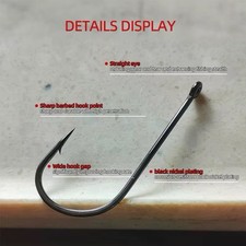 Wide Mouth Specimen Raptor