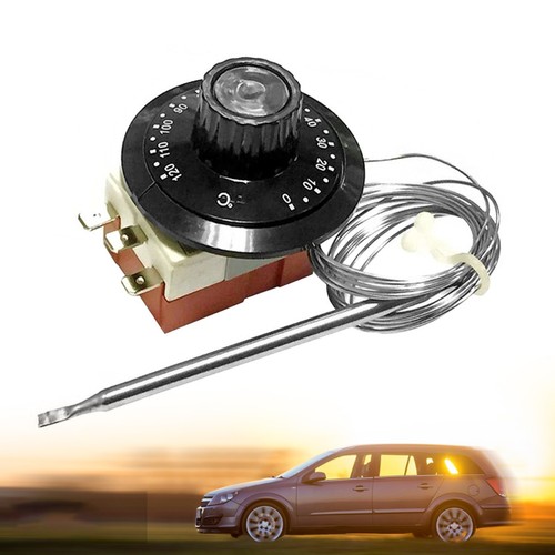 Car capillary thermostat - car,