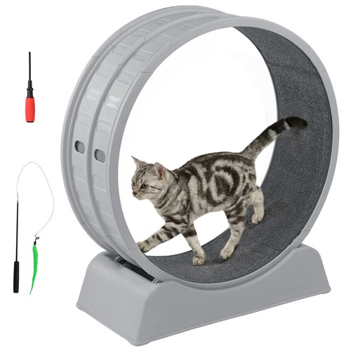 30in cat exercise wheel - exercise,