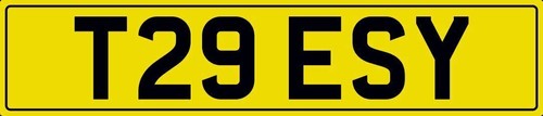 Tessy tes number plate t29 - number,