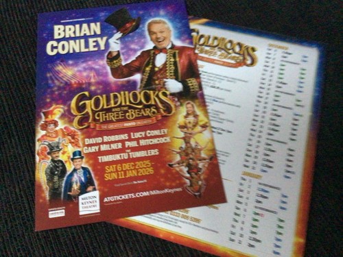 Pantomime flyers 2025 - pantomime,