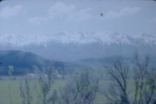 Red Border 1950s Utah State