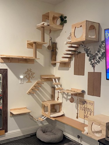 Wall mounted cat climbing - wall,