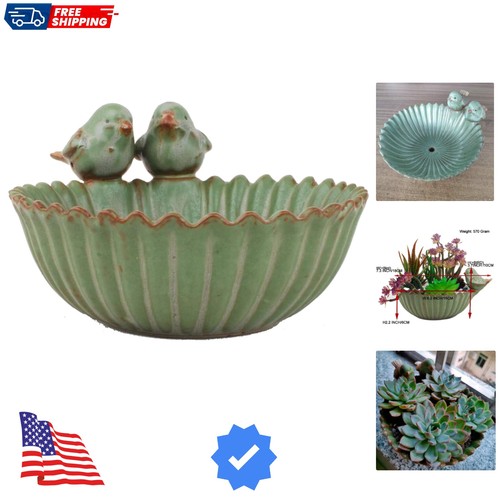Elegant 6in ceramic succulent - 6in,