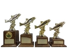 Personalised Trout Angling