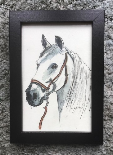 White horse head - horse,