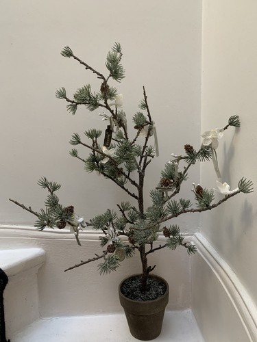Bnib bloom frosted christmas - bnib,