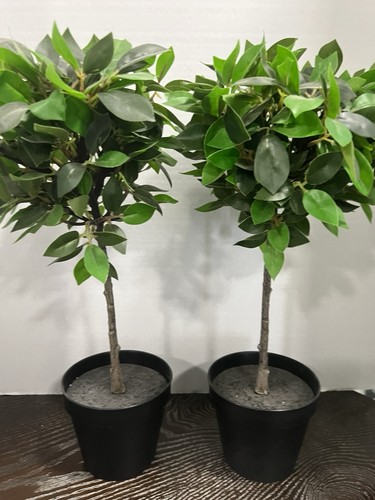 Ikea fejka artificial potted - fejka,