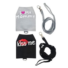 Bearded Dragon Leash And