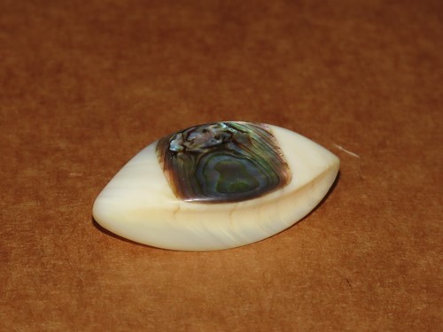 1800s cloak fastener button - 1800s,