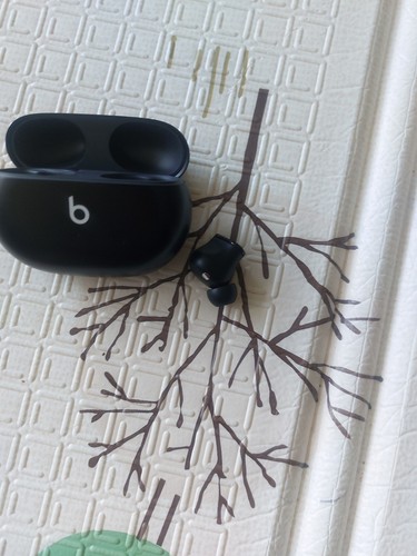 Black beats studio - studio, buds