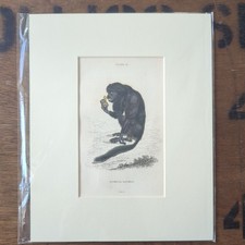 1835 Jardine Antique Monkey