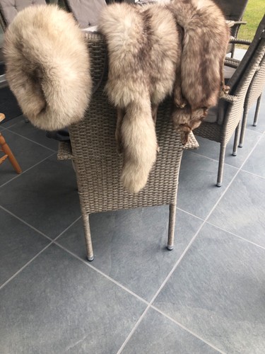 Real arctic fox fur - fox,