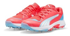 Puma Cricket Spikes 24.1 -