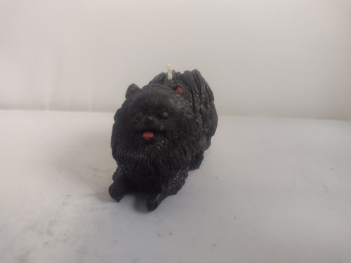 Cute black pomeranian spitz - pomeranian,