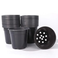 50 Pack Black Garden Nursery