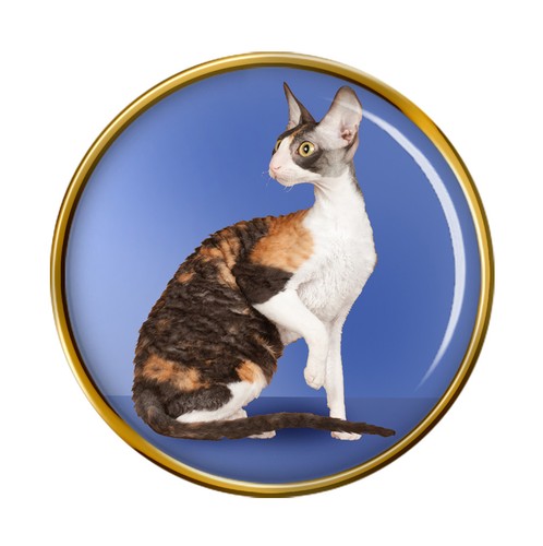 Cornish rex cat lapel pin - rex,