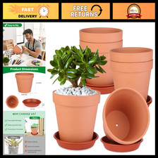 6 Pack 6" Terracotta Clay Pots