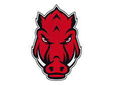 Arkansas Razorbacks Mascot