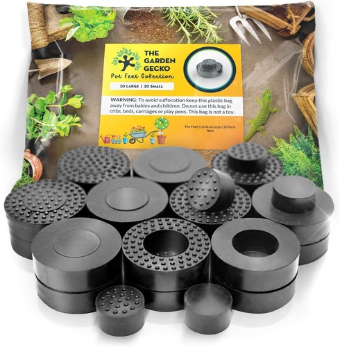 The garden gecko plant - garden,