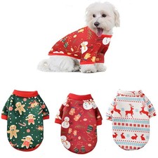 Kitten Costume Teddy Dog