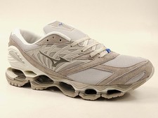 Mizuno wave prophecy - wave,