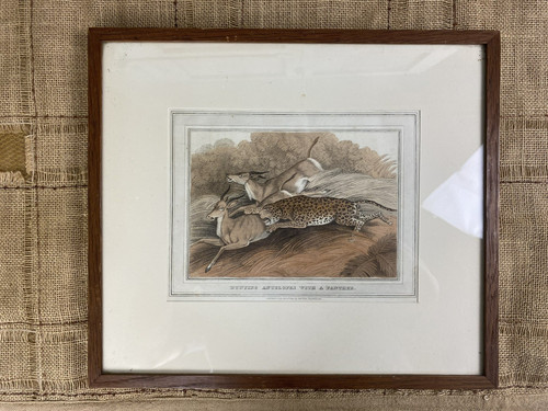 Rare 1814 hand coloured - rare,