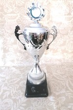 Silver Cup Trophy 13” |