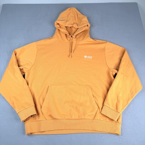 Alpine design hoodie - mens, xl