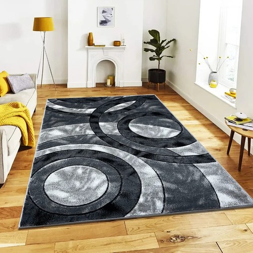 Modern large rugs for living - rugs,