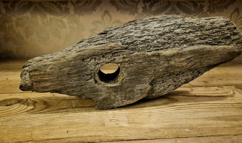 Natural unique driftwood piece - natural,