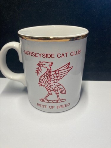 Merseyside cat club best - merseyside, club,