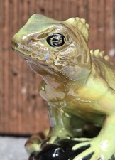 Hagen Renaker Specialty 🐊IGUANA🐊. 