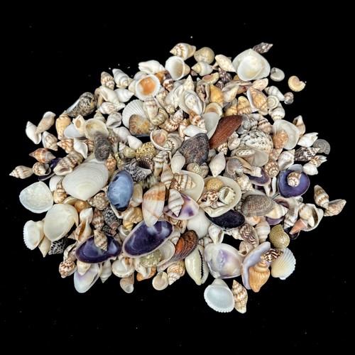 Assorted mixed micro craft - mixed,
