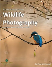 The Ultimate Beginners Guide