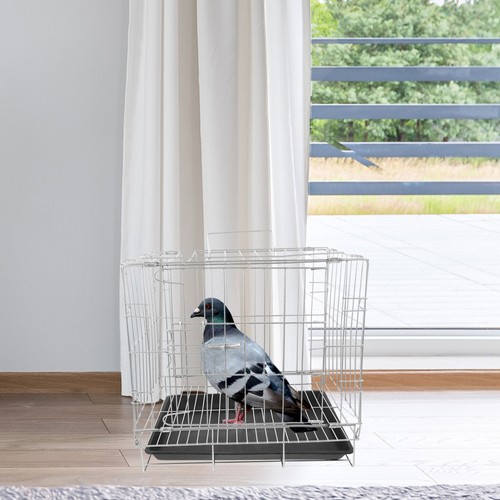 Household birdcage metal - household,