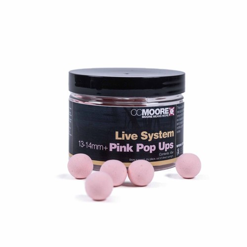 Moore live system pink pop - live,