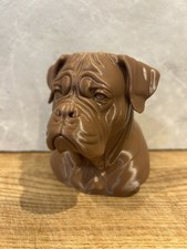 Dogue De Bordeaux Mastiff Dog